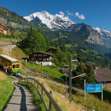 Roossi 3 Wengen